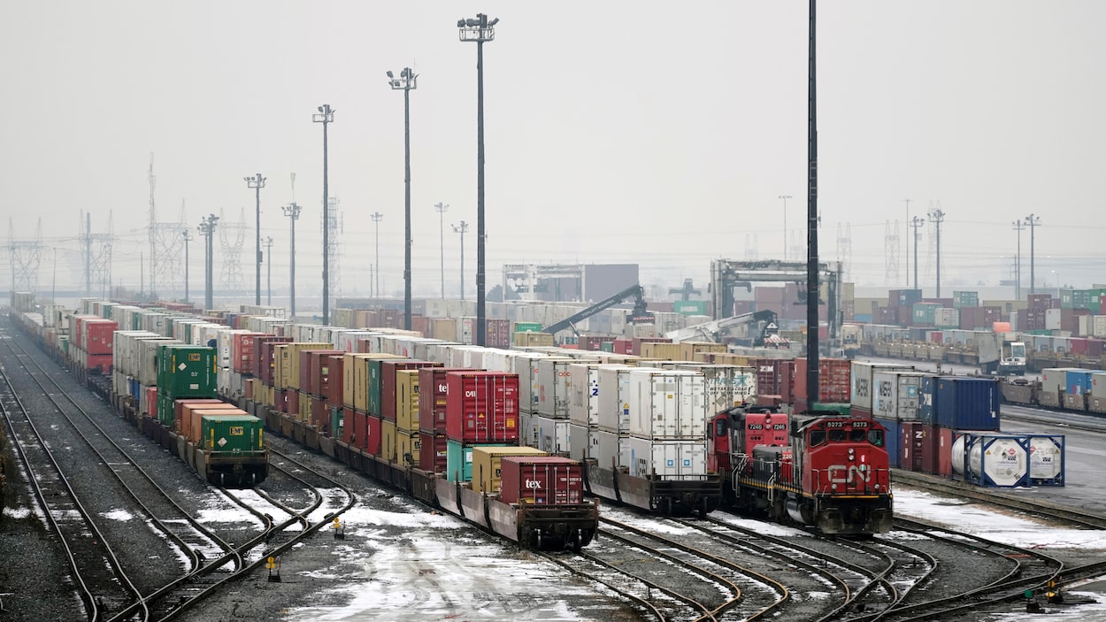 Des trains alignés à la gare de triage de Brampton en Ontario.