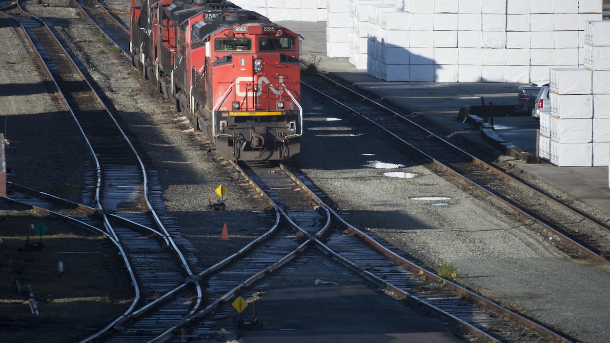 Des locomotives à l'arrêt dans une gare du CN.
