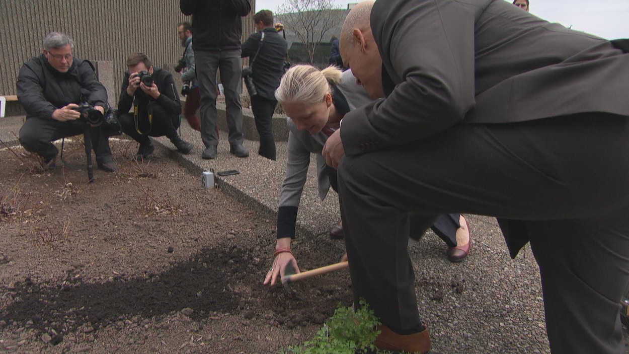 La ministre de l’Environnement et du Changement climatique, Catherine McKenna joue dans la terre sur un toit.