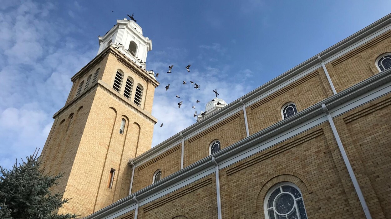 Un clocher de cathédrale en contre-plongée avec des oiseaux qui volent dans le ciel.