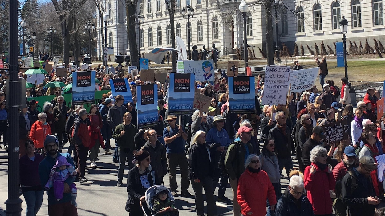 Plusieurs personnes participant à une manifestation ont des pancartes dans les mains.
