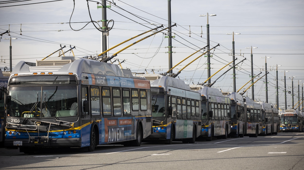 Plan large de plusieurs trolleybus de TransLink enlignés pare-chocs contre pare-chocs dans un stationnement de la compagnie de transport en commun.