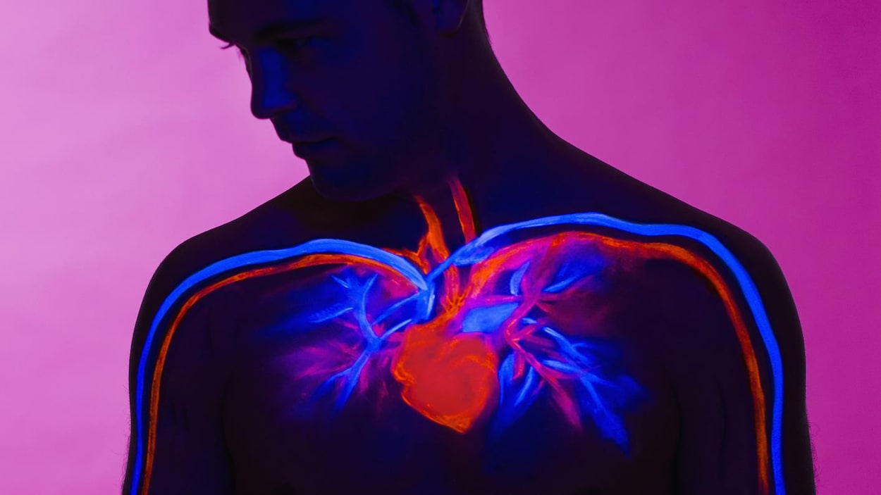 La rareté des cancers du cœur enfin expliquée?