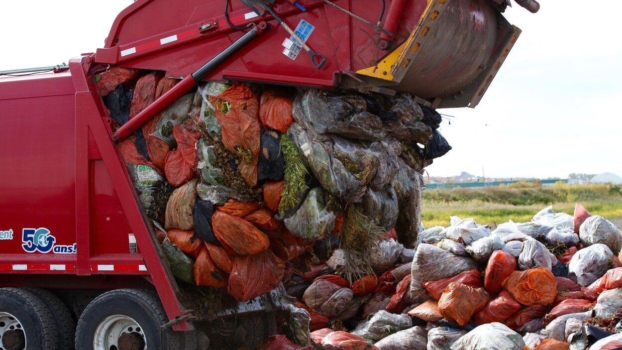 Des feuilles sont recueillies à Québec lors d'une collecte.