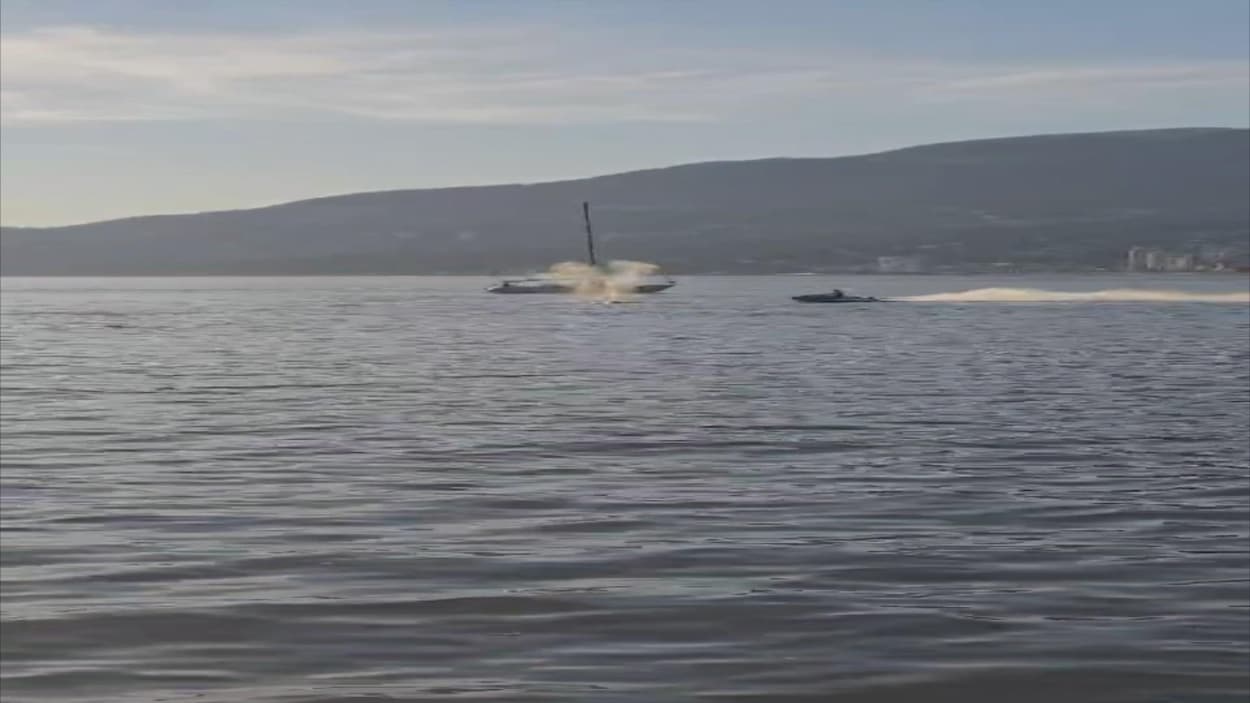 Une collision entre une motomarine et une baleine au large du parc Stanley