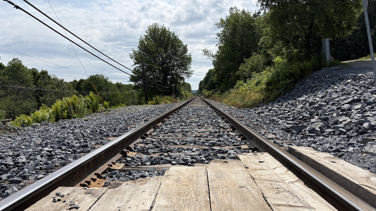 Deux semaines après avoir été happée par un train, une automobiliste brise le silence