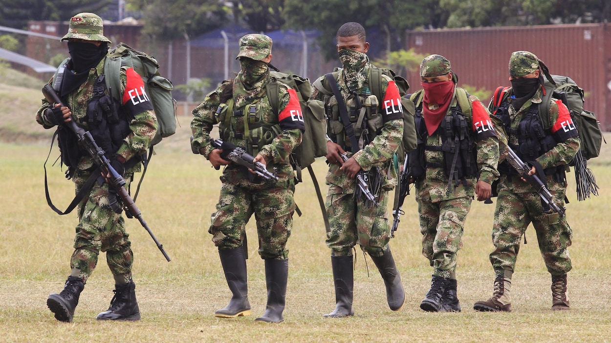 Des membres du groupe de guérilla colombien ELN se rendant à une base militaire pour se rendre et remettre leurs armes, à Cali le 16 juillet 2013.