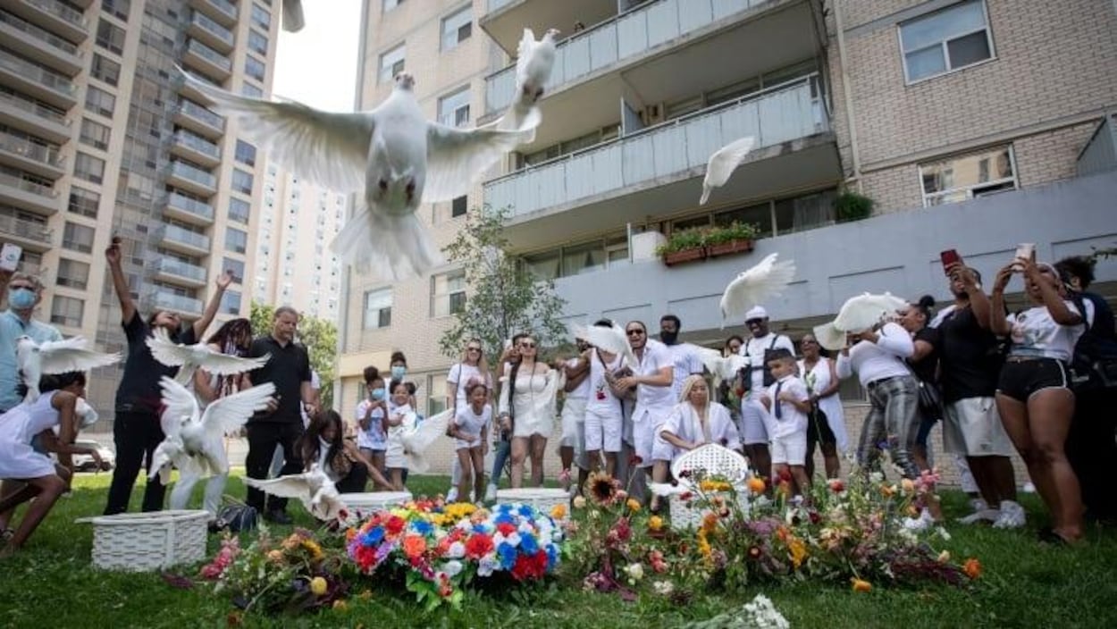des colombes volent dans les airs devant un immeuble à Toronto et des gens