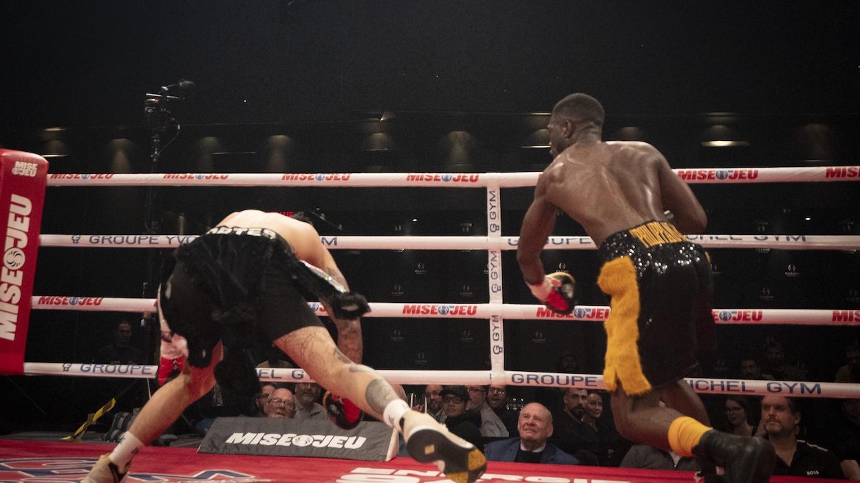 Les promoteurs de boxe pourront être mis à l’amende