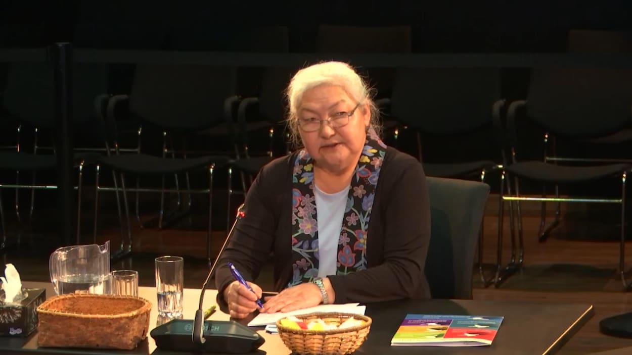 Kathleen J. Wootton a expliqué devant la commission d'enquête que la surpopulation dans les logements causait de graves problèmes sociaux et sanitaires.