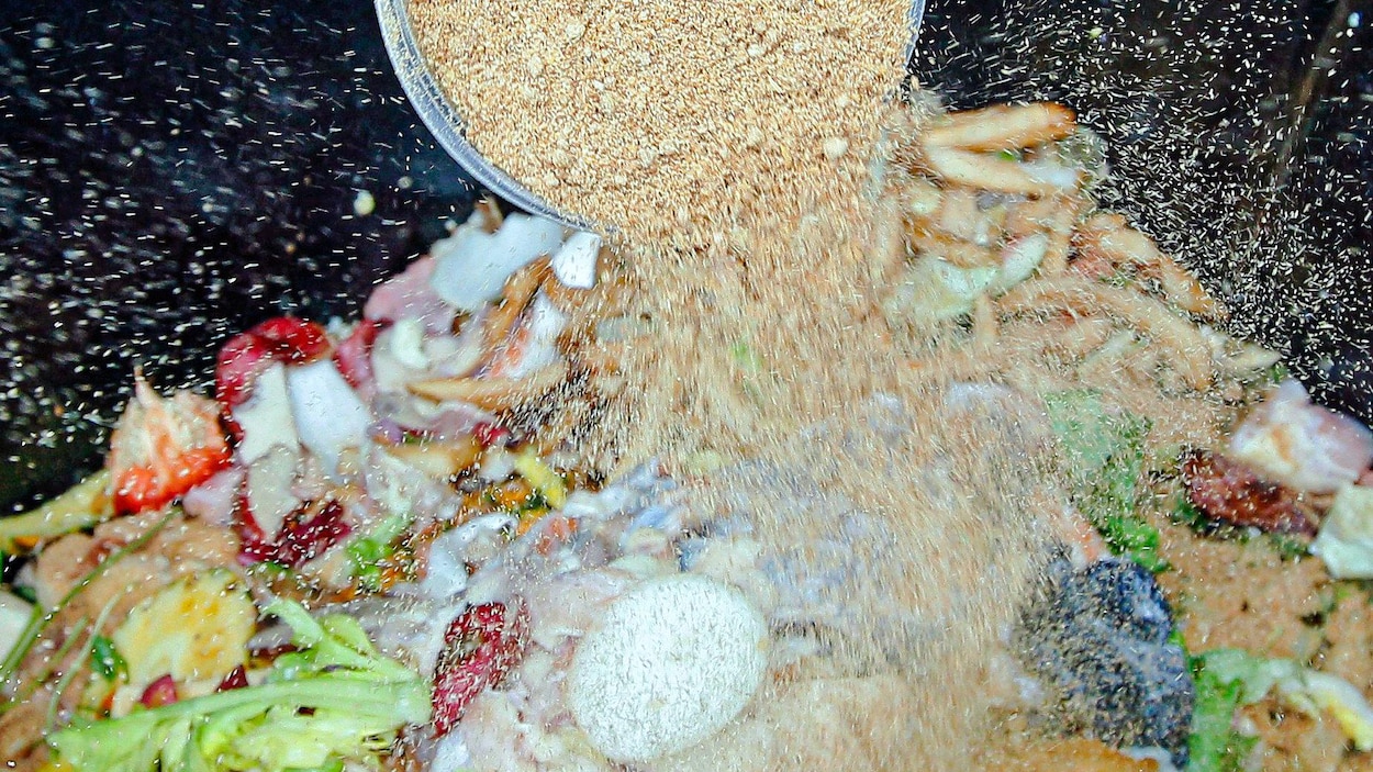 Activateur de compost Bokashi : comment en fabriquer et l'utiliser ?