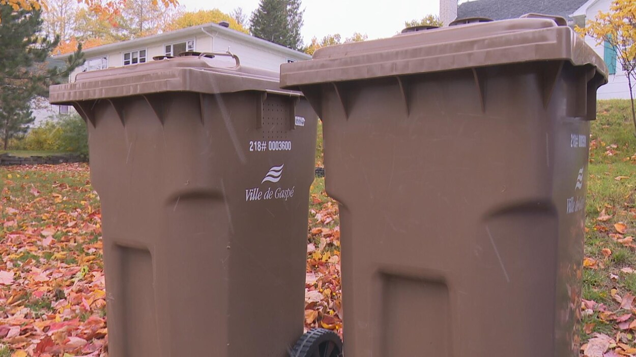 Les deux bacs sont l'un à côté de l'autre en attendant le camion de collecte.