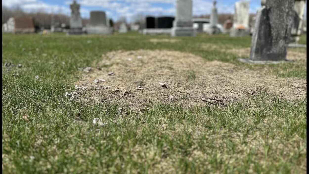 Le nombre de corps non réclamés ne cesse d’augmenter en Ontario