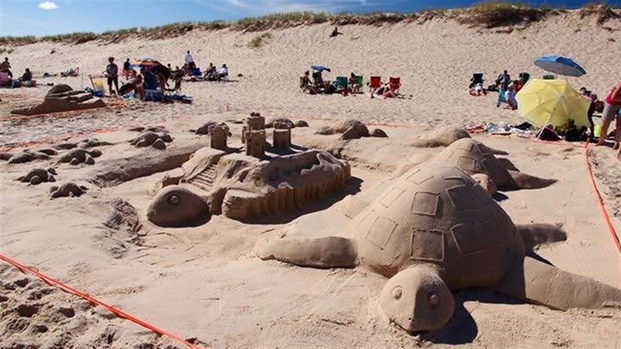 Tortues fabriquées en sable Tortues fabriquées en sable
