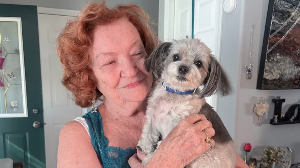 Une femme et son chien secourus d’une voiture qui s’enfonçait dans l’eau