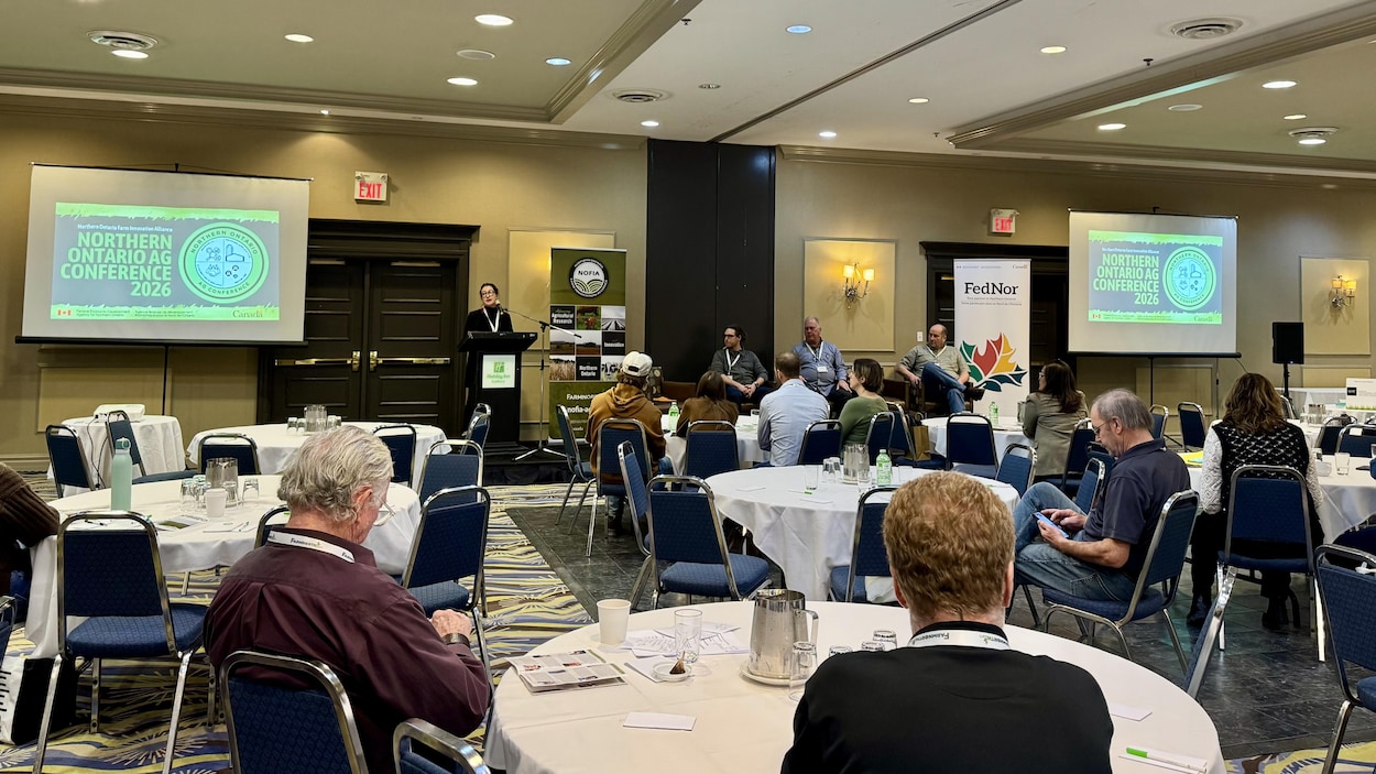 L’agriculture Nord-Ontarienne veut prendre de l’expansion malgré les incertitudes