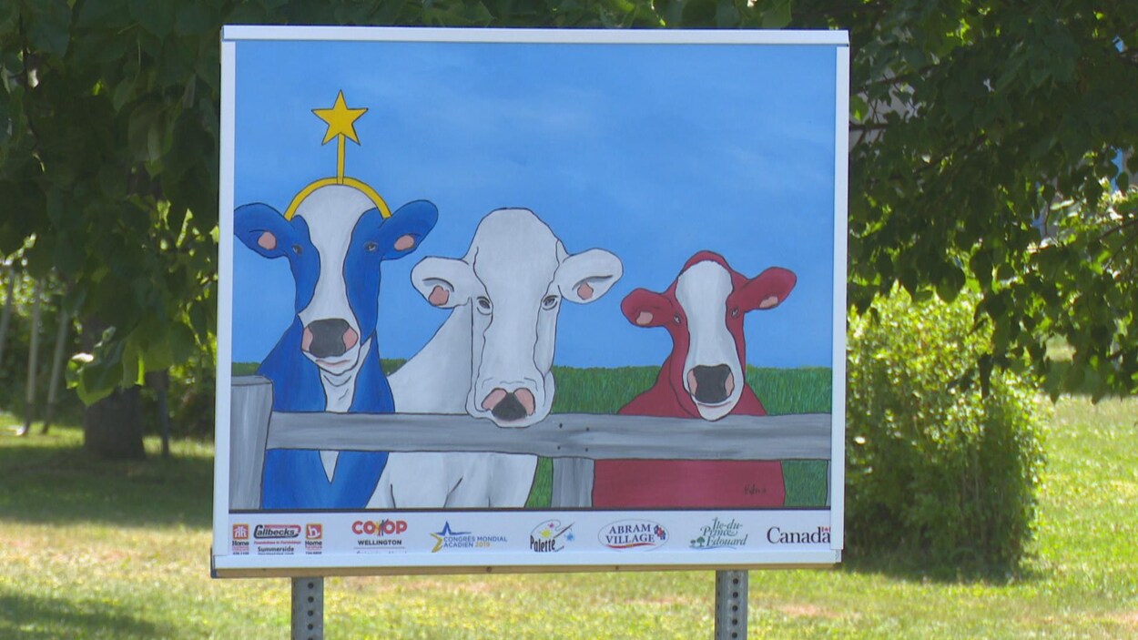 Une affiche avec des vaches aux couleurs du drapeau acadien.