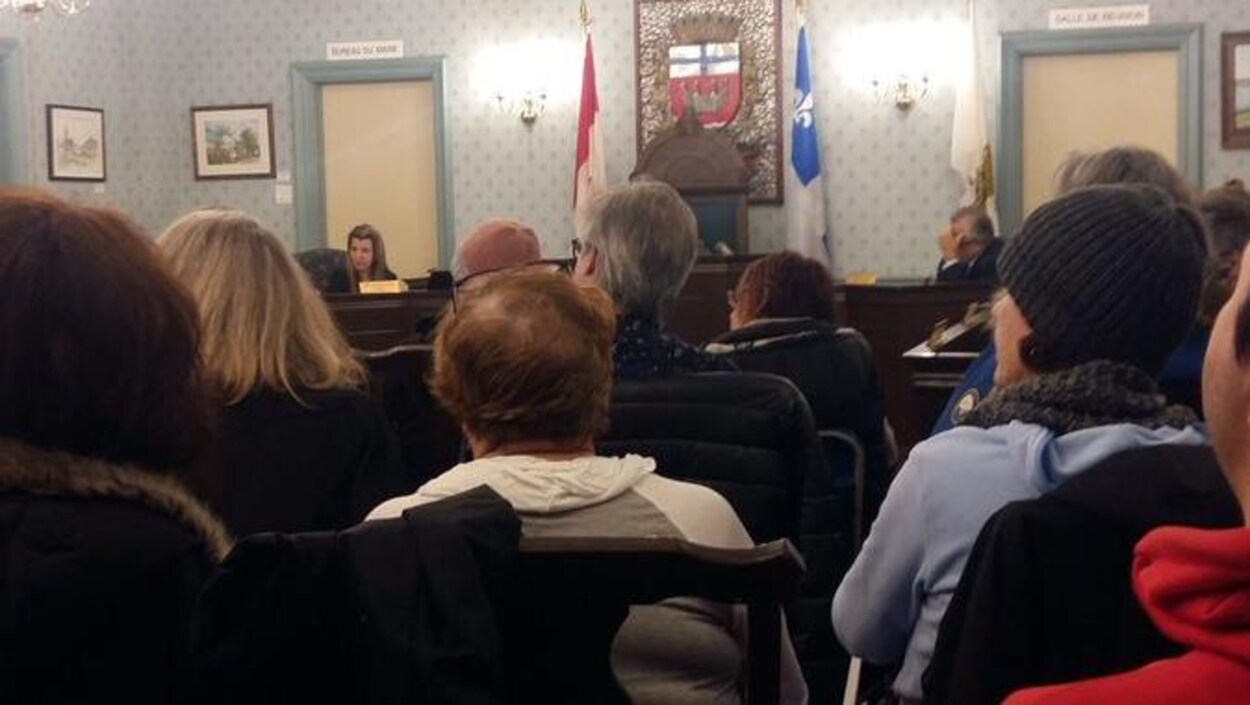 Des citoyens dans la salle du conseil