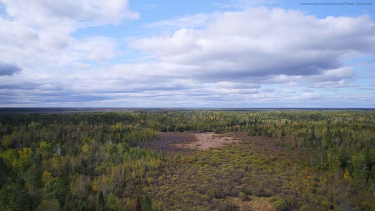 Plus de 90 hectares de milieux humides supplémentaires protégés au sud d’Ottawa