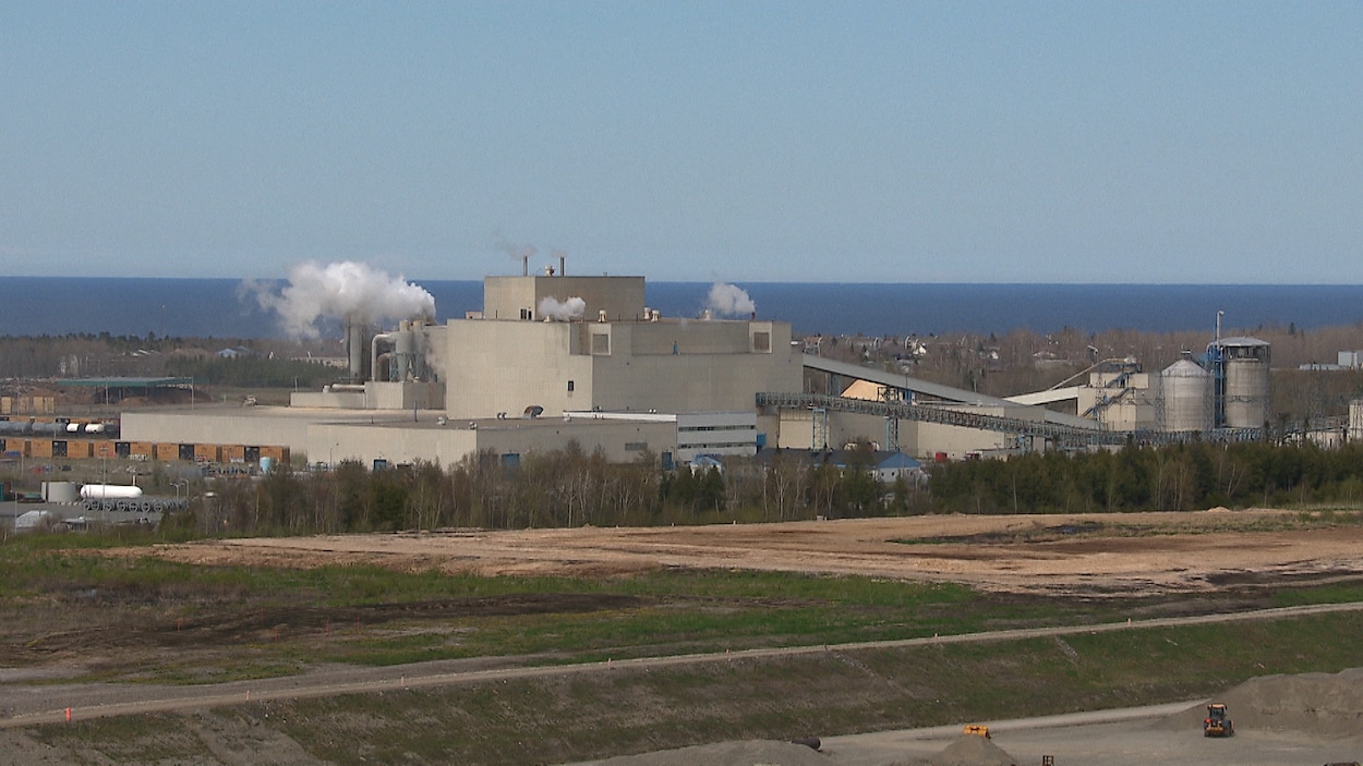 Usine Sappi : deux ans sans contrat de travail