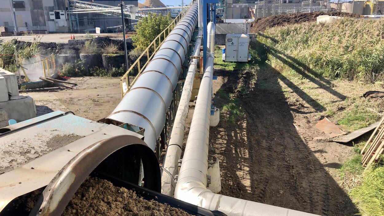 Des tubes et un convoyeur dans la cour d'une usine de pâtes et papiers.