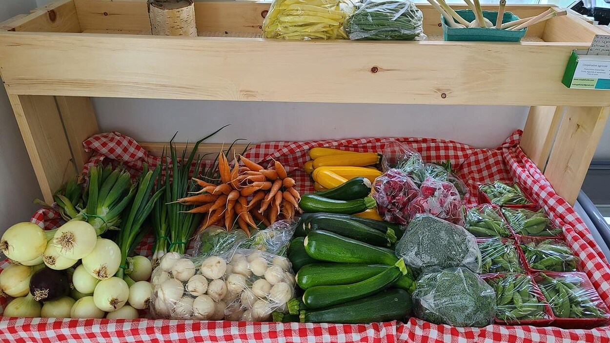 Manger local AbitibiOuest lance sa 8e saison RadioCanada