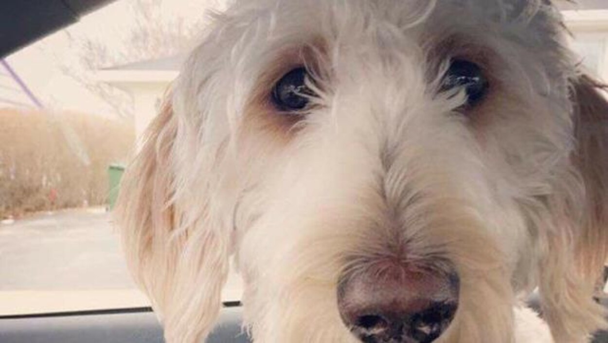 Cooper manque à l'appel