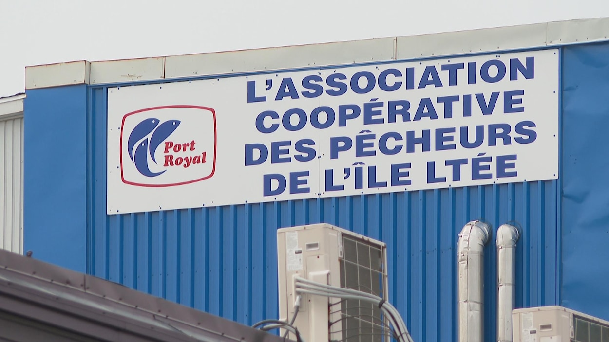 Sursis supplémentaire de trois mois pour la coop des pêcheurs de Lamèque