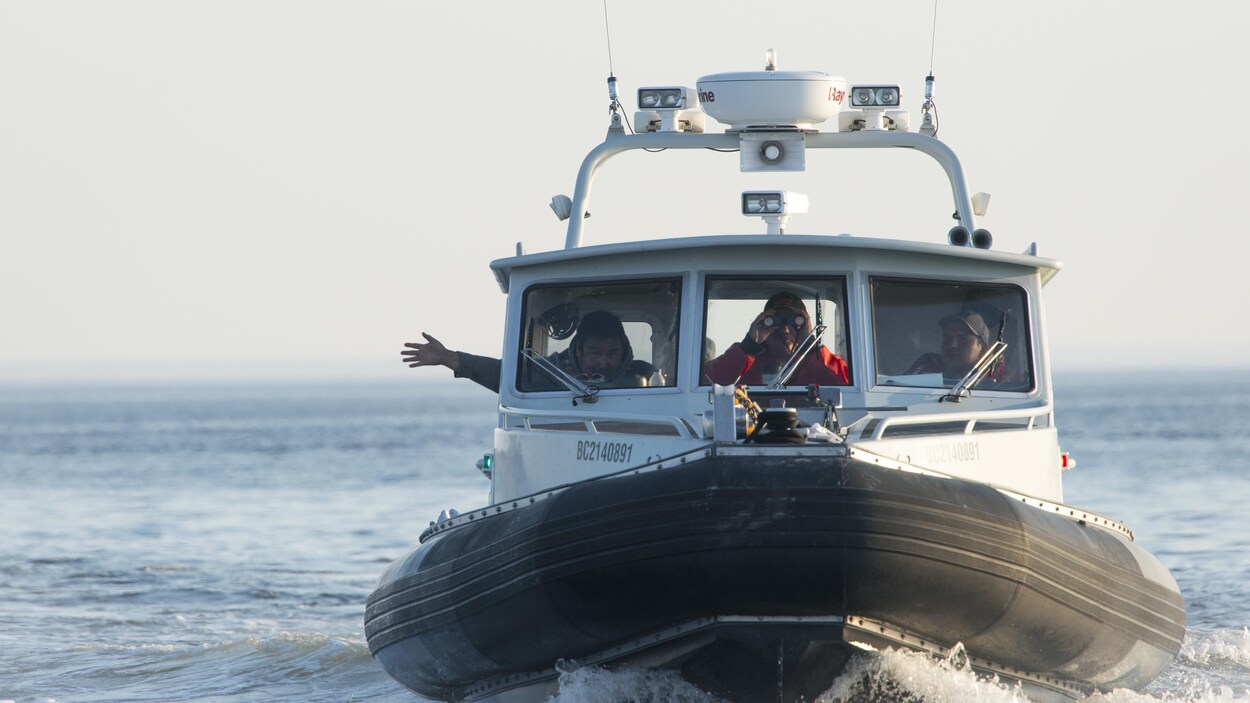 Un bateau.