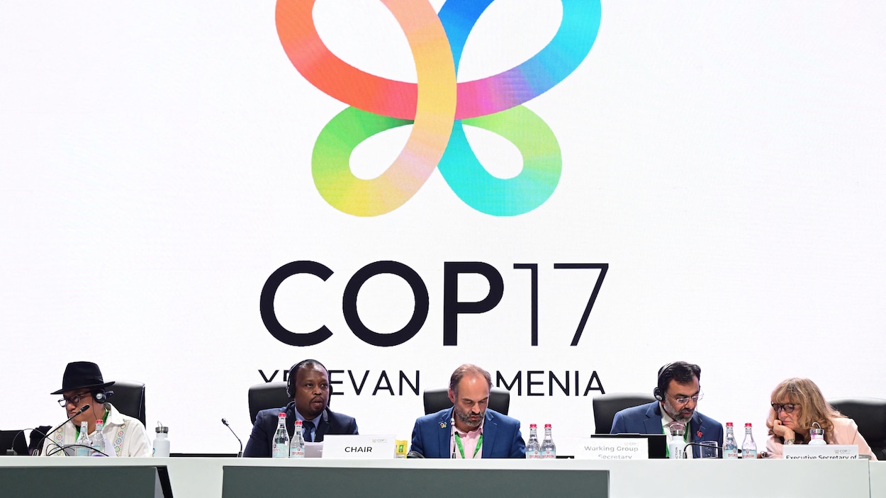 COP17 sur la biodiversité : des textes clés adoptés après des discussions parfois tendues