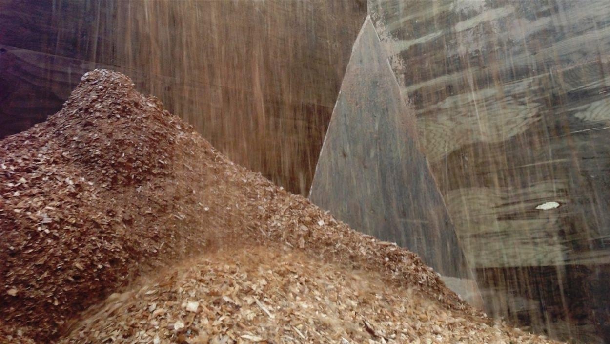 Des copeaux de bois Des copeaux de bois