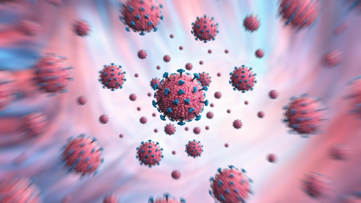 Représentation du coronavirus SRAS-CoV-2.