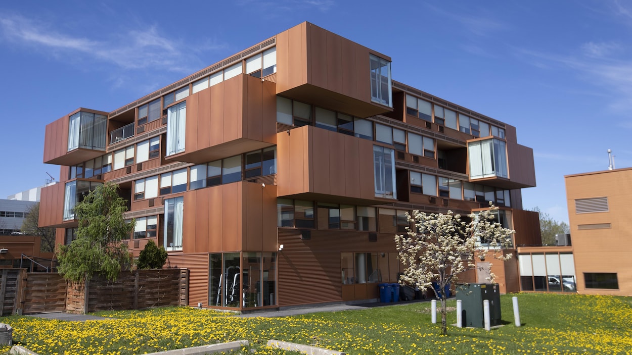 L'immeuble, qui comporte plusieurs unités.