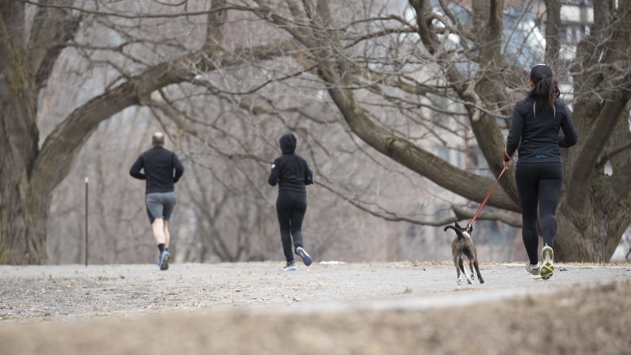Des personnes font de la course à pied dans un parc.