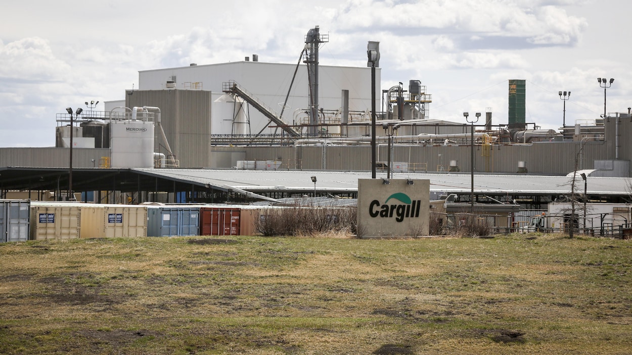 Une usine de bœuf en Alberta.