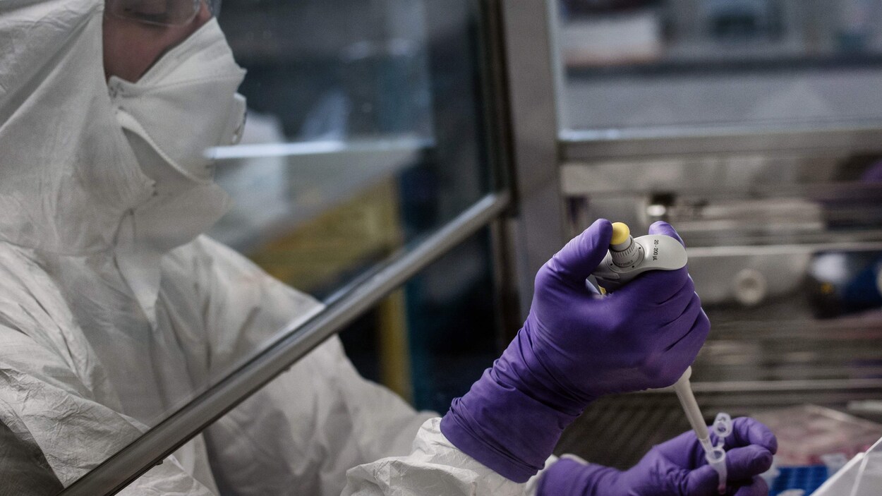 Un scientifique travaille dans un laboratoire.