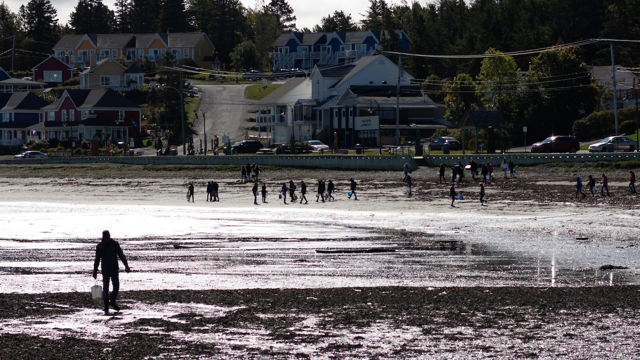Plusieurs dizaines de personnes sur la plage avec des seaux.