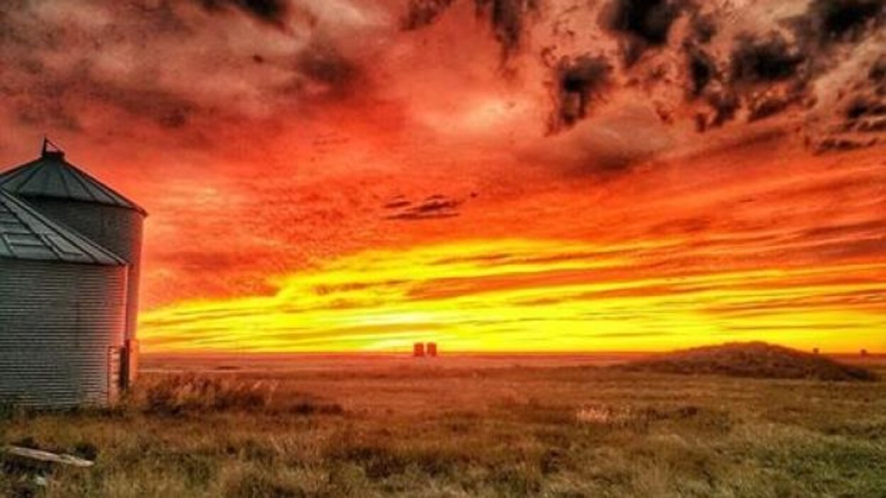 Coucher de soleil sur une ferme : le ciel semble être en feu avec des couleurs vives, jaune et rouge, des nuages gris et deux silos à grain Coucher de soleil sur une ferme : le ciel semble être en feu avec des couleurs vives, jaune et rouge, des nuages gris et deux silos à grain