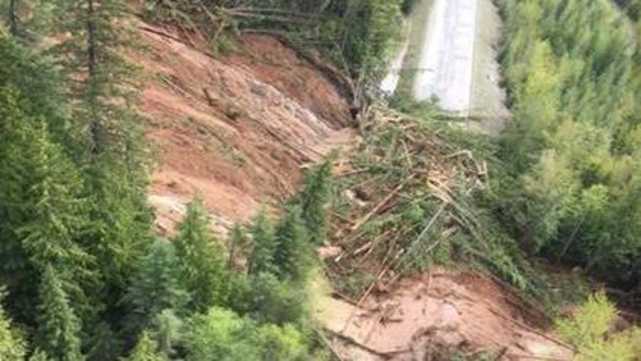 Une immense coulée de boue et beaucoup de troncs d'arbres jonchent une route qui traverse une forêt.
Une immense coulée de boue et beaucoup de troncs d'arbres jonchent une route qui traverse une forêt.