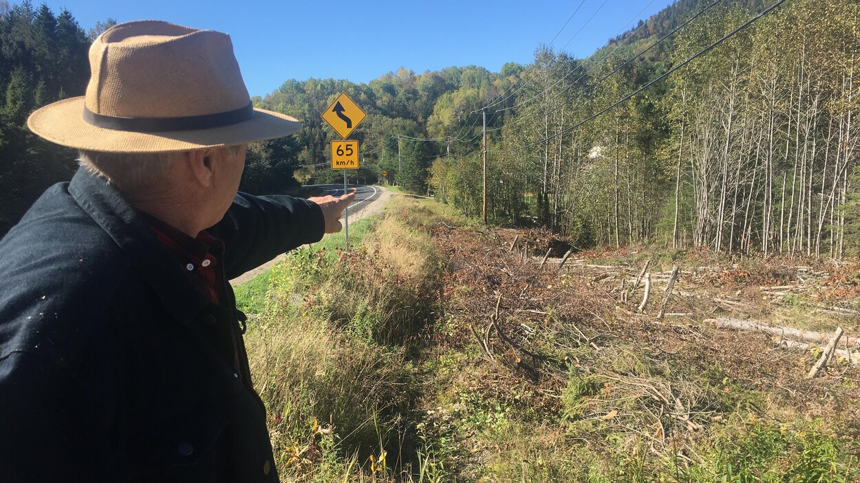 Un citoyen de PetitSaguenay dénonce le déboisement près des lignes