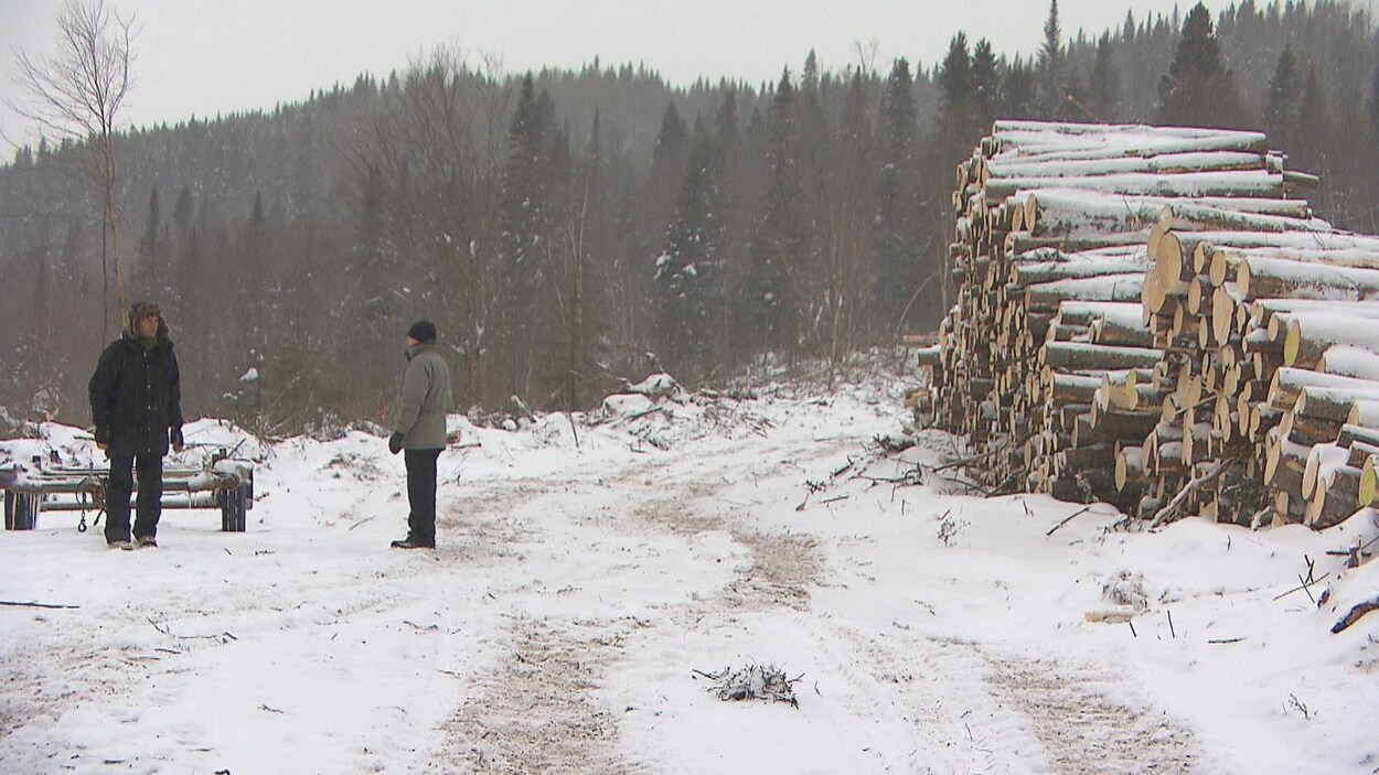 Deux hommes debout près des billots de bois