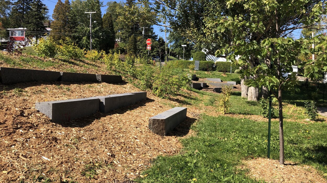 Des bancs de pierre se trouvent dans une cour d'école.