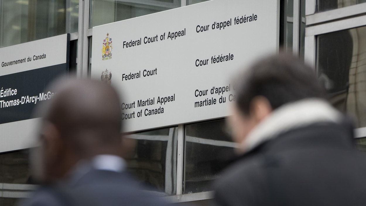 Ottawa conteste l’étude du racisme systémique par le Tribunal des droits de la personne