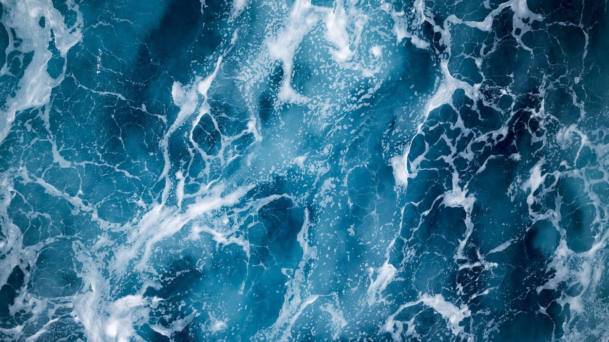 Des vagues dans l'océan Des vagues dans l'océan