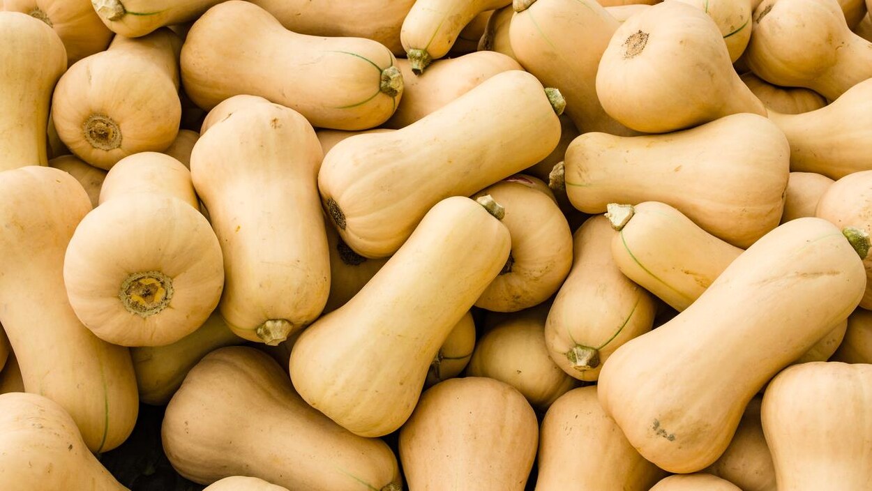 Photo représentant des dizaines de courges.
