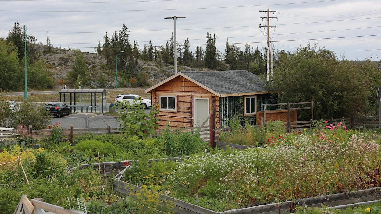 Une école à Yellowknife élargit son programme d’éducation en plein air