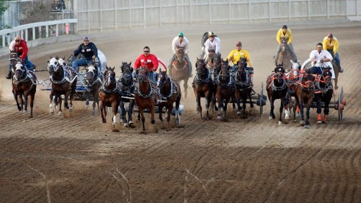 Les conducteurs de chevaux font la course au Stampede de Calgary.