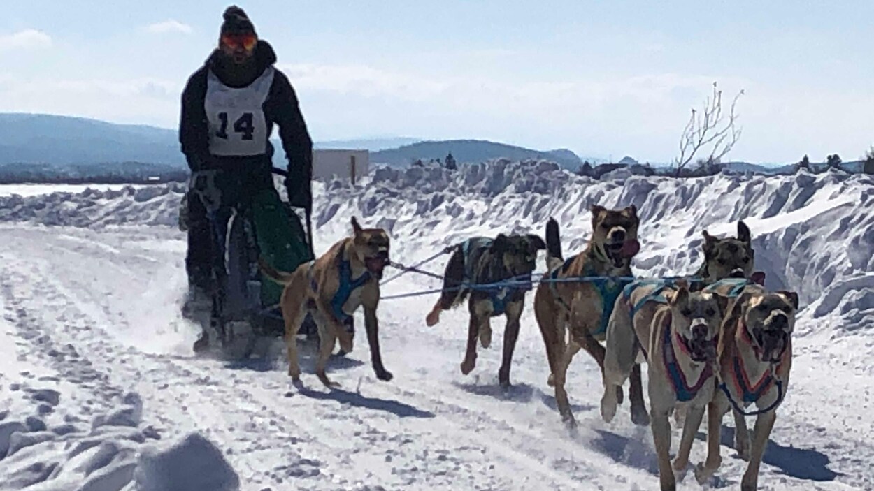 Des courses de chiens de traîneau à RivièreOuelle RadioCanada.ca