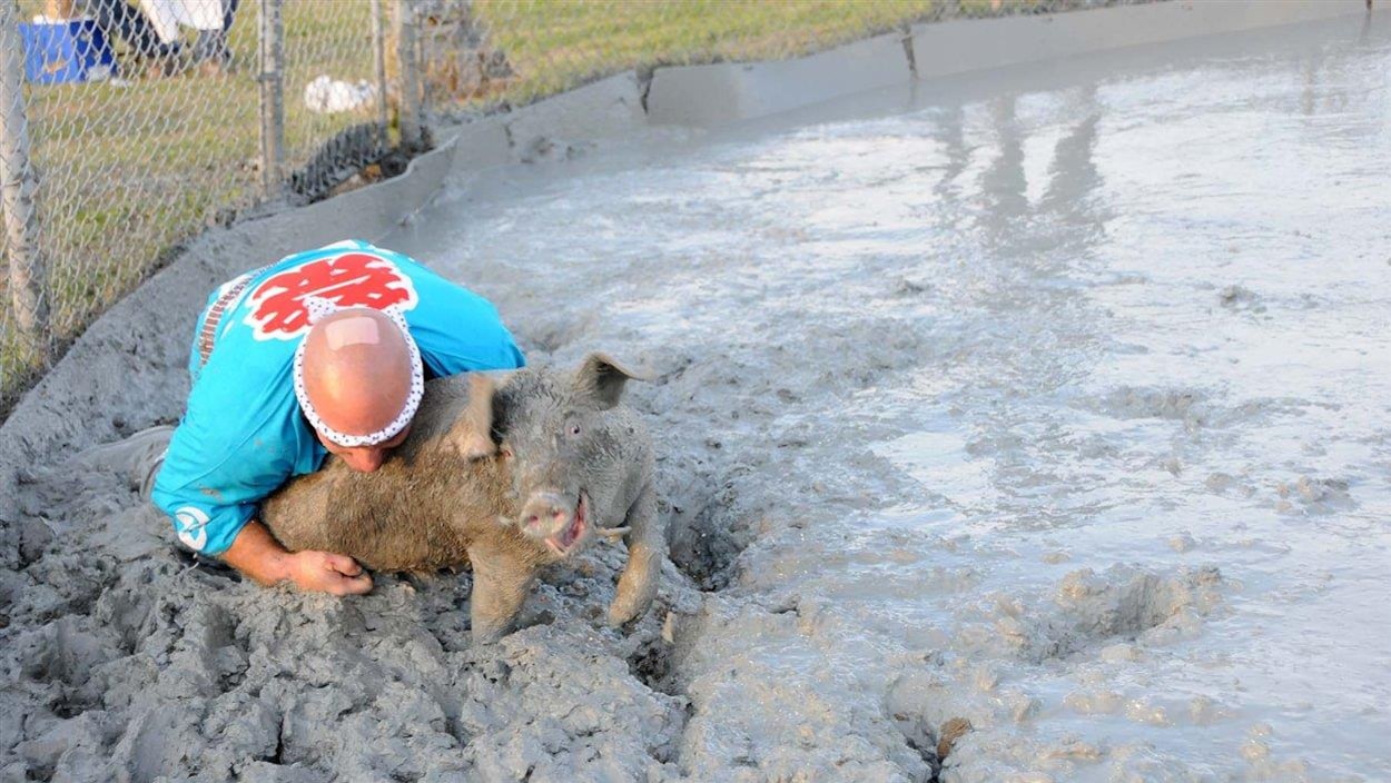 C'est un départ pour le Festival du cochon - L'Express