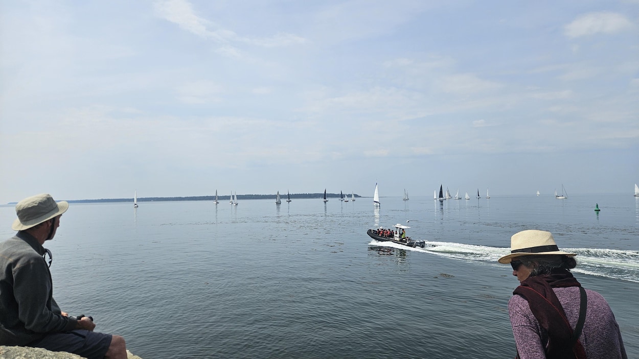 Des courses de voiliers dans l’estuaire du Saint-Laurent